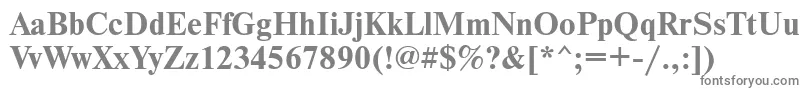 NewtoncttBold Font – Gray Fonts