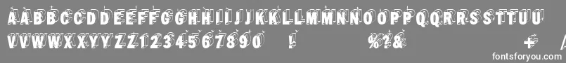 Wirewalkersvertigo Font – White Fonts on Gray Background