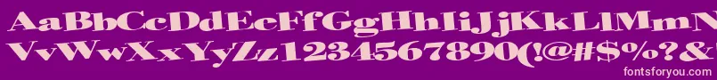 Helterskelter Font – Pink Fonts on Purple Background