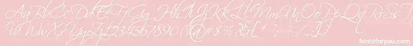 Scriptin Font – White Fonts on Pink Background