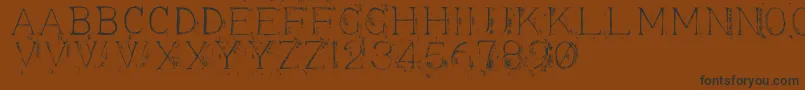 Appendi3 Font – Black Fonts on Brown Background