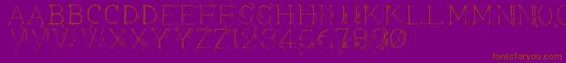 Appendi3 Font – Brown Fonts on Purple Background