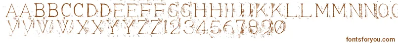 Appendi3-Schriftart – Braune Schriften auf weißem Hintergrund