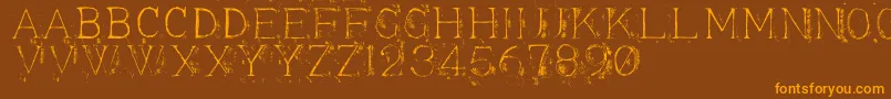 Appendi3 Font – Orange Fonts on Brown Background
