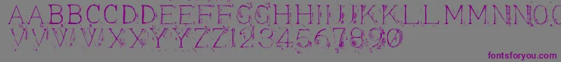 Czcionka Appendi3 – fioletowe czcionki na szarym tle
