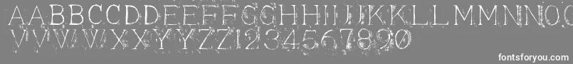 Appendi3 Font – White Fonts on Gray Background