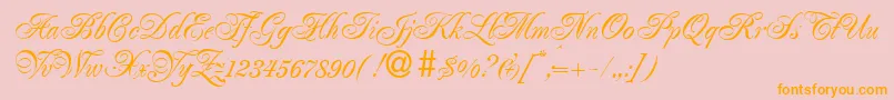 RenaissanceRegular Font – Orange Fonts on Pink Background