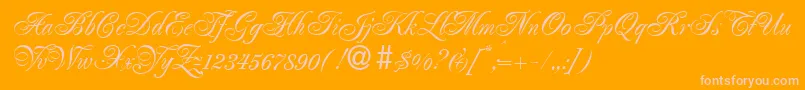 RenaissanceRegular-Schriftart – Rosa Schriften auf orangefarbenem Hintergrund