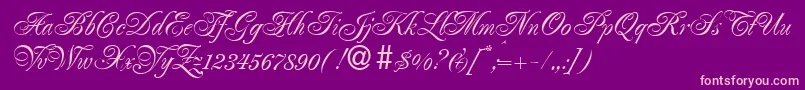 RenaissanceRegular Font – Pink Fonts on Purple Background