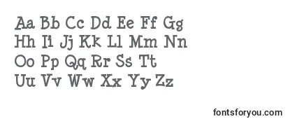 Обзор шрифта Minyanouvelle ffy