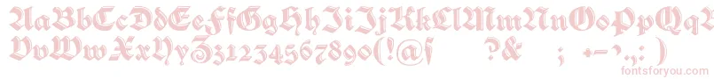 Verzierteschwabacher Font – Pink Fonts