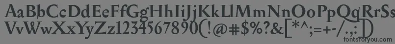 Шрифт SerapionBold – чёрные шрифты на сером фоне