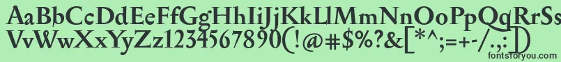 SerapionBold Font – Black Fonts on Green Background