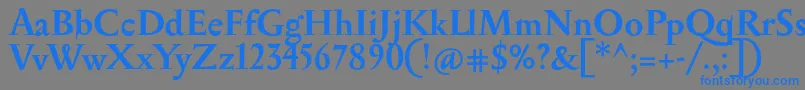 SerapionBold-fontti – siniset fontit harmaalla taustalla