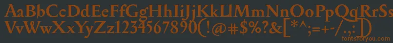 SerapionBold Font – Brown Fonts on Black Background