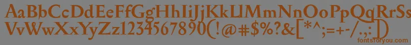 フォントSerapionBold – 茶色の文字が灰色の背景にあります。