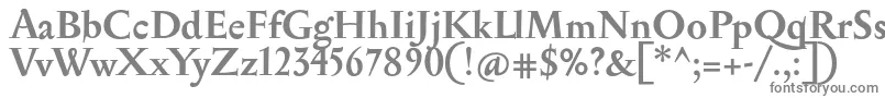 SerapionBold-Schriftart – Graue Schriften auf weißem Hintergrund