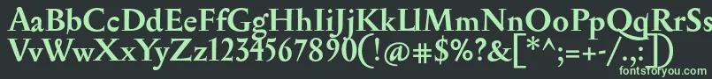 SerapionBold Font – Green Fonts on Black Background