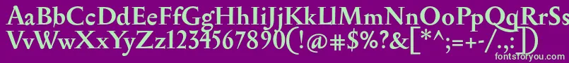 SerapionBold Font – Green Fonts on Purple Background