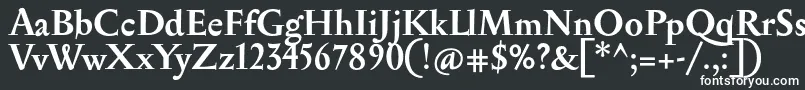 Шрифт SerapionBold – белые шрифты на чёрном фоне