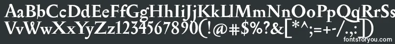 フォントSerapionBold – 黒い背景に白い文字