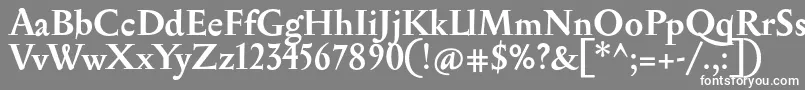 SerapionBold-Schriftart – Weiße Schriften auf grauem Hintergrund