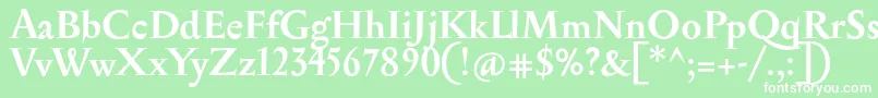 Шрифт SerapionBold – белые шрифты на зелёном фоне