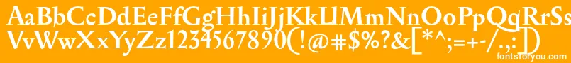 SerapionBold-fontti – valkoiset fontit oranssilla taustalla