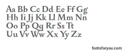 SerapionBold Font