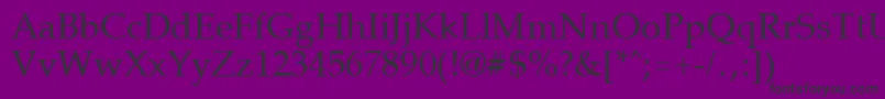 PalisadeRegular Font – Black Fonts on Purple Background