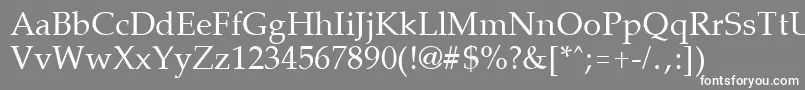 フォントPalisadeRegular – 灰色の背景に白い文字