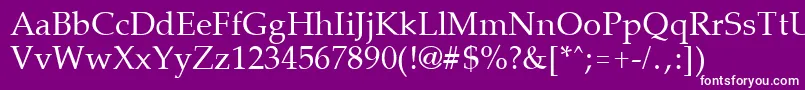 フォントPalisadeRegular – 紫の背景に白い文字