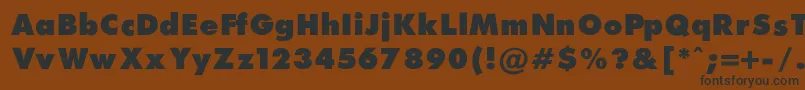 FuturaExtraBlackNormal Font – Black Fonts on Brown Background