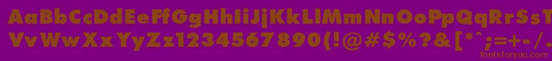 FuturaExtraBlackNormal Font – Brown Fonts on Purple Background