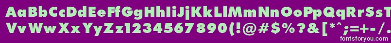 FuturaExtraBlackNormal Font – Green Fonts on Purple Background