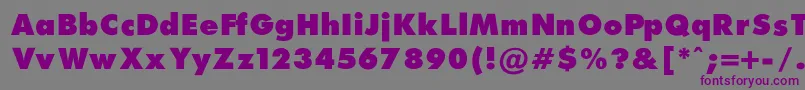 フォントFuturaExtraBlackNormal – 紫色のフォント、灰色の背景