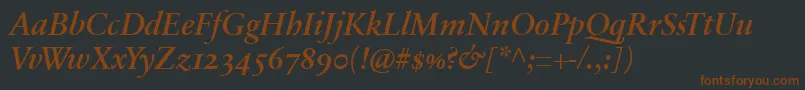 More about SabonnextLtDemiItalicOldStyleFigures Font SabonnextLtDemiItalicOldStyleFigures Font – Brown Fonts on Black Background
