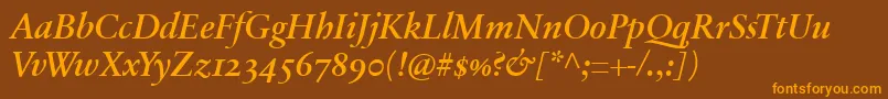 SabonnextLtDemiItalicOldStyleFigures Font – Orange Fonts on Brown Background