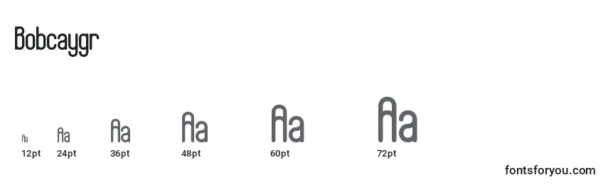 Bobcaygr Font Sizes