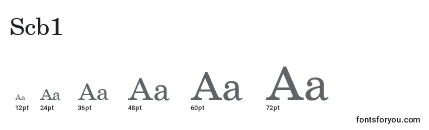 Scb1 Font Sizes