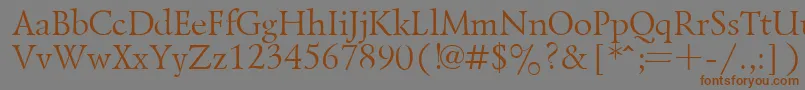 LazurskyPlain.001.001 Font – Brown Fonts on Gray Background