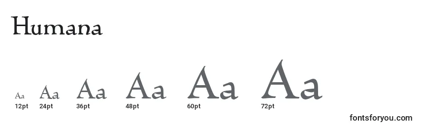 Размеры шрифта Humana