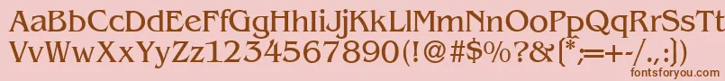 B693RomanRegular Font – Brown Fonts on Pink Background