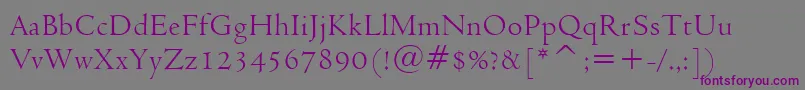 Venetian301Bt Font – Purple Fonts on Gray Background