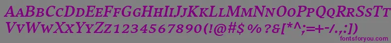 フォントCompatilExquisitLtComBoldItalicSmallCaps – 紫色のフォント、灰色の背景