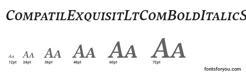 CompatilExquisitLtComBoldItalicSmallCaps Font Sizes