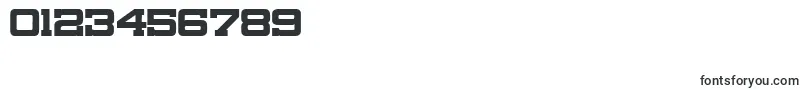 CanarsieSlabJl Font – Fonts for Numbers and Digits