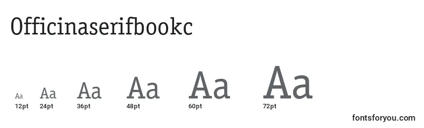 Размеры шрифта Officinaserifbookc