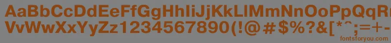 Pragmat1 Font – Brown Fonts on Gray Background