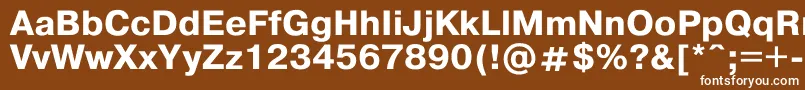 Pragmat1 Font – White Fonts on Brown Background
